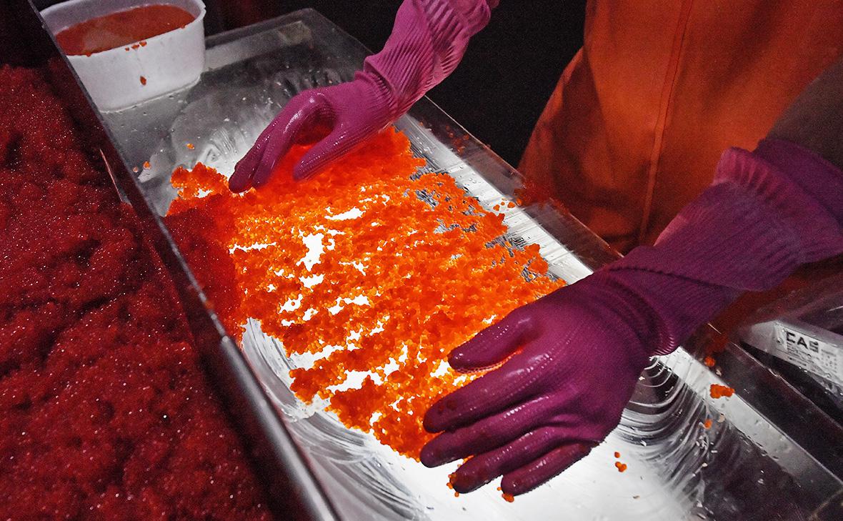 Росрыболовство спрогнозировало резкий рост производства красной икры Росрыболовство спрогнозировало резкий рост производства красной икры