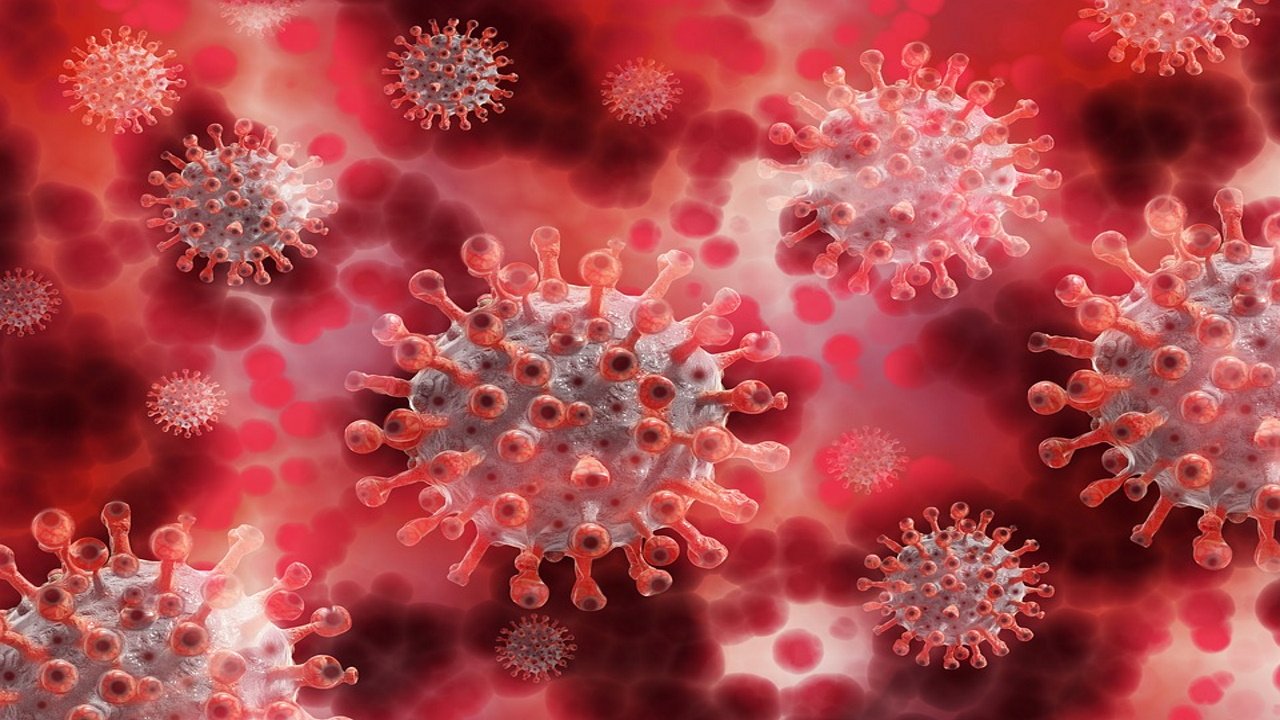 Politico сообщает, что жителям ЕС нужно готовиться к новому этапу коронавируса Кракен